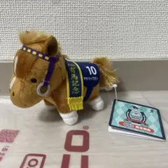 2026年最新】マヤノトップガン ぬいぐるみの人気アイテム - メルカリ