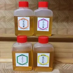 【非加熱・生はちみつ】4種お試しセット・50g×4（4本）