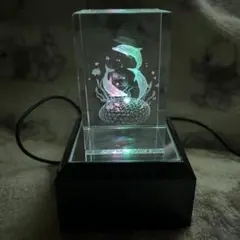 イルカ 3Dクリスタル 置物 LED台座付き
