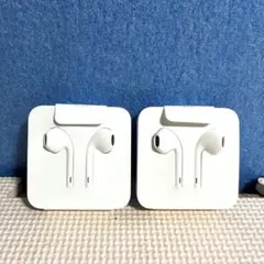 新品、未使用Apple純正ライトニング 有線イヤホン　2個同梱　#11