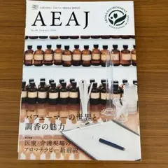 AEAJ No.80 情報誌