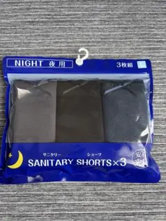 サニタリーショーツ 夜用 3枚組 Lサイズのサムネイル