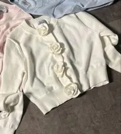 Item thumbnail for item c6554b5e-ddcb-414f-ba52-724329dd6902