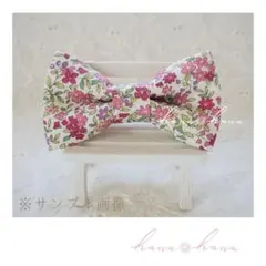 Item thumbnail for item 7cda6080-68c9-44de-95f4-c84533e47635