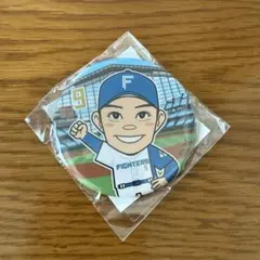 北海道日本ハムファイターズ 野村佑希 缶バッジ ガチャ - メルカリ
