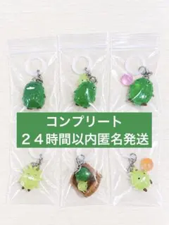 モリゾーとキッコロ めじるしアクセサリー 全6種 コンプリート