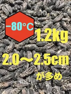 清潔コオロギ　2kg 2.0〜2.5cm多め　冷凍コオロギ 清潔コオロギ 1.2kg 2.0〜2.5cm多め 冷凍コオロギ 1kg - メルカリ