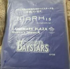 横浜DeNAベイスターズ イベントポンチョ TS-1276