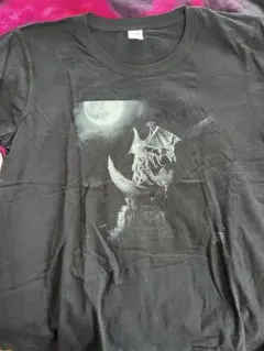 Item thumbnail for item 5e1f9ba9-d3d4-4110-91b7-8470c9450176