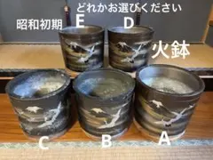 Item thumbnail for item 532a930e-9486-4c36-9e56-e6583b4643b8