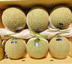 り*中様 高知県産　マスクメロン　 7玉入り　約7.5㎏（下箱込み） 高知県産 マスクメロン 7玉入り 約7.4㎏（下箱込み） - メルカリ