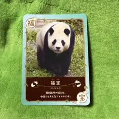 2026年最新】ウエノデパンダの人気アイテム - メルカリ