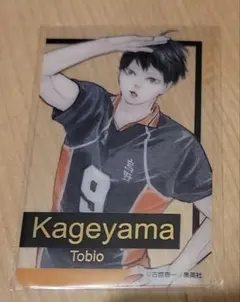 ハイキュー!! ファンパーク 箔押しクリアカード 影山飛雄