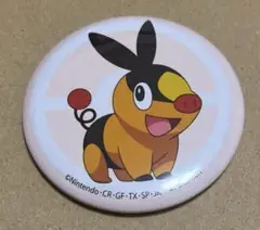 ポケットモンスター　缶バッジ　コレクション