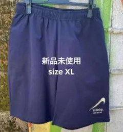 Reverse Etavirp Logo Shorts Blue Green L - メルカリ