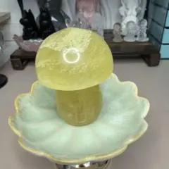 ✨イエローカルサイト✨きのこ　秋　黄色