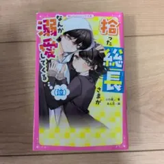 拾った総長さまがなんか溺愛してくる（泣）
