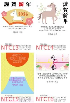1枚 年賀状印刷☆差出人印刷無料 NTC13～16