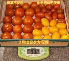 農薬化学肥料不使用 トマト詰め合わせ 902gのサムネイル
