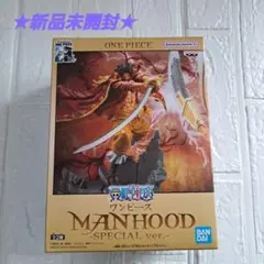 ワンピース　SPECIAL ver. ゴールド・D・ロジャー　フィギュア