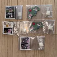 おぱんちゅうさぎ&んぽちゃむ キャラマグネッツ