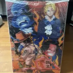 未使用 3Dポスター ルフィ サボ エース