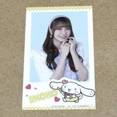 瀧脇笙古 イコラブ フォトカード シナモン　シナモロール