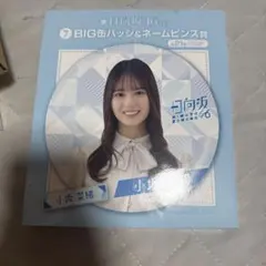 2026年最新】小坂菜緒の人気アイテム - メルカリ
