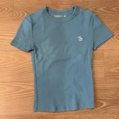 青い半袖Tシャツ abercrombie & fitch
