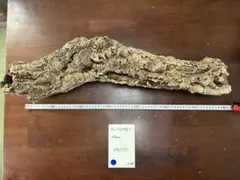 Item thumbnail for item 23952514-4450-4a48-bd4a-95edcbc6aef0