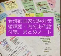 看護師国家試験対策｜循環器・内分泌まとめノート・付箋（A4コピー）