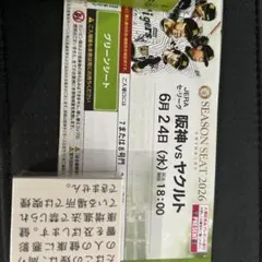 阪神タイガース vs ヤクルト 6月24日 グリーンシート観戦チケット 2枚 