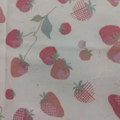オックス生地　NINA　ストロベリー