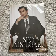 西垣匠 写真集 SHO NISHIGAKI NYLON