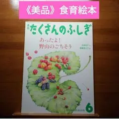 《美品》たくさんのふしぎ　あったよ！野山のごちそう　2009年6月号　食育絵本