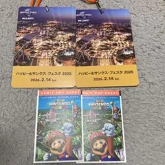 【USJナイト貸切】2026.2.14(土) 2枚