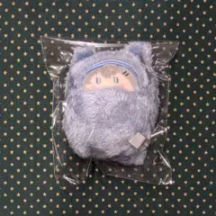 カラフルピーチ からぴち たぴぬい ヒロ