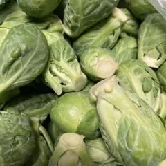 86.87.88芽キャベツ　漣恋様専用急便　3キロ静岡県菊川市産