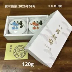2026年最新】錦松梅 光峰作の人気アイテム - メルカリ