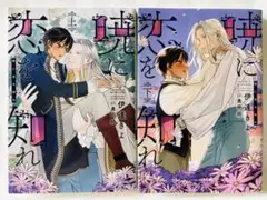 暁に恋を知れ●上下巻セット●伊達きよ●BL小説●送料込み