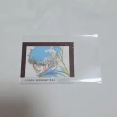 新劇場版銀魂 吉原大炎上 入場者特典 5弾 坂田 銀時