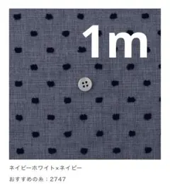 シックミニヨン　ネイビーホワイト×ネイビー　1m cs