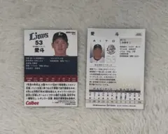 埼玉西武ライオンズ 愛斗 プロ野球カード 2枚セット