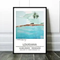 新品★輸入ポスター★デイヴィッド・ホックニー★現代アート★インテリア★31 Amazon.co.jp: デビッドホックニーポスター展キャンバスペイン