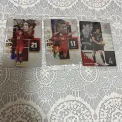 男子バレー日本代表 ツインウエハース3枚セット
