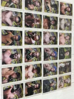 ufc スポーツカード