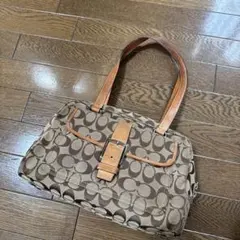 Item thumbnail for item d0c9c93f-e2e6-4442-90ac-13d113d53b76