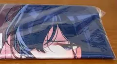 四季ナツメ チャイナ服Ver. フィギュア ソフマップ特典 B2タペストリー