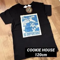 【新品】120 ダイナソー 恐竜 キャラクター Tシャツ 半袖 男の子 女の子