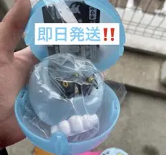 ポケモン おっきなお月さまライトマスコット　ブラッキー